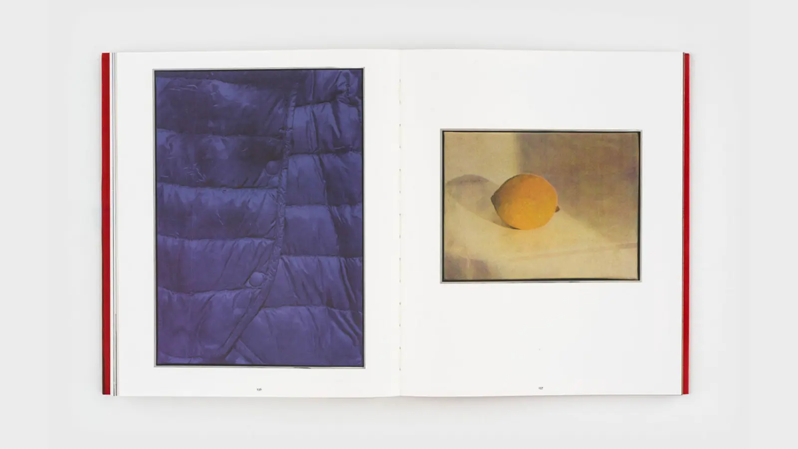 Poppy Jones image 11