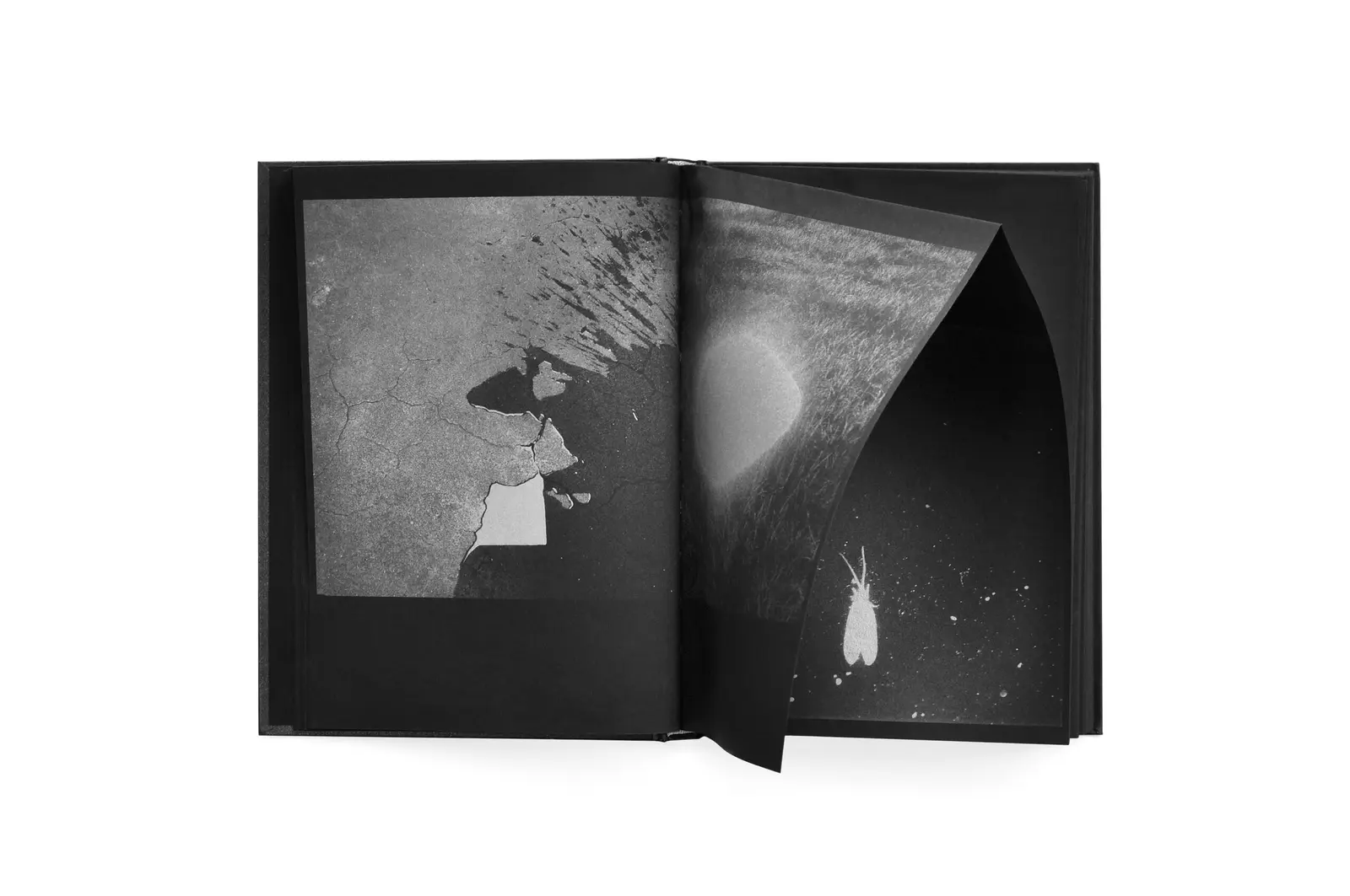 Astres Noirs 2 image 3