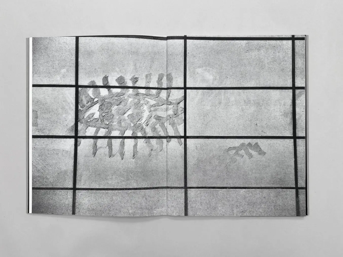 46 image 3