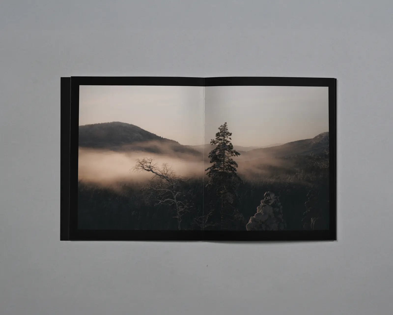 Distant Calls in Fading Light image 5