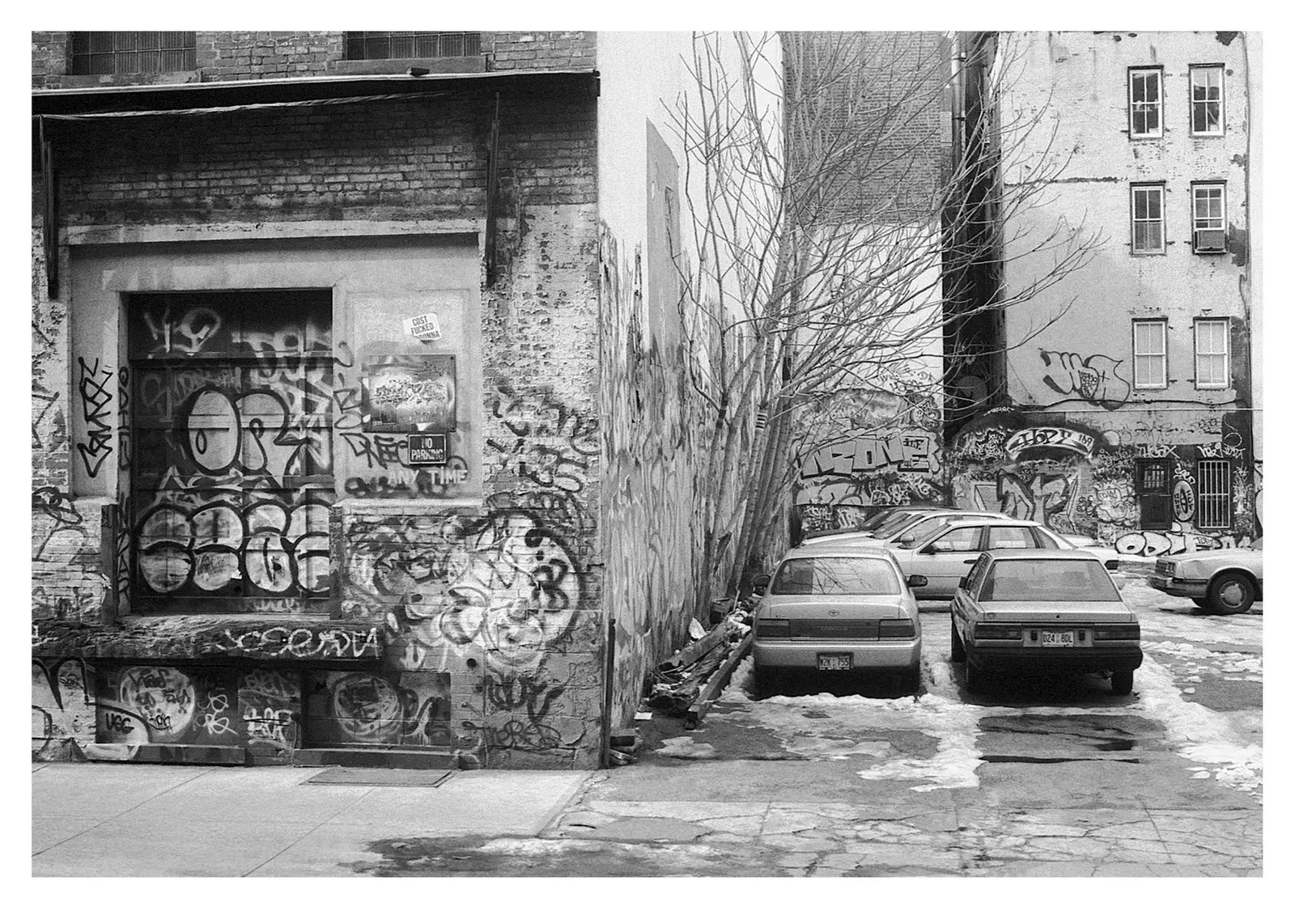 New York 1995–1996 image 7