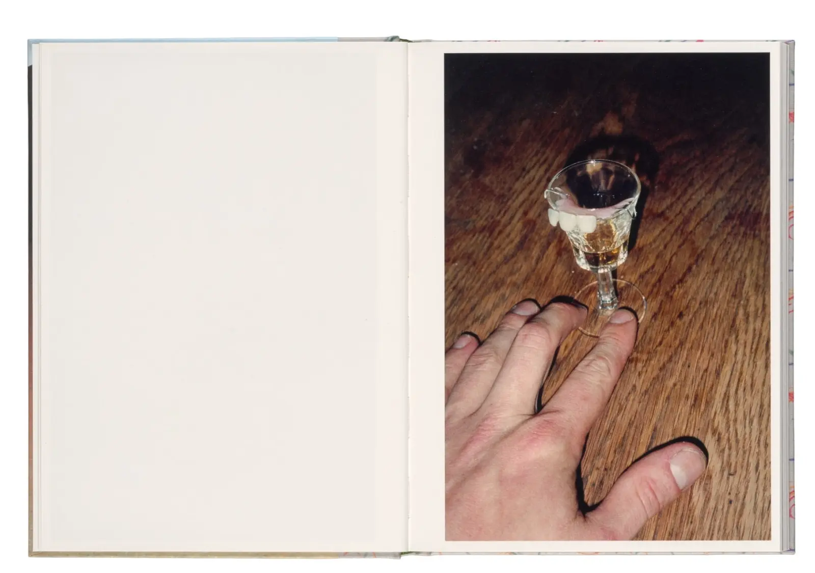 This Much is True image 6