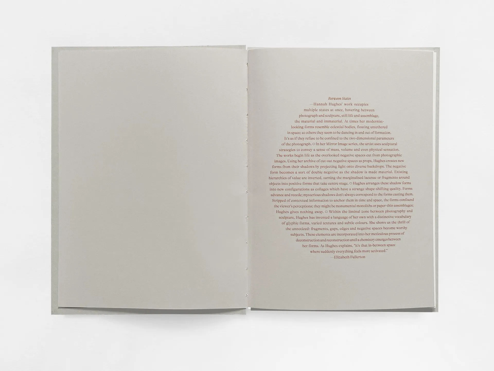 Mirror Image image 2