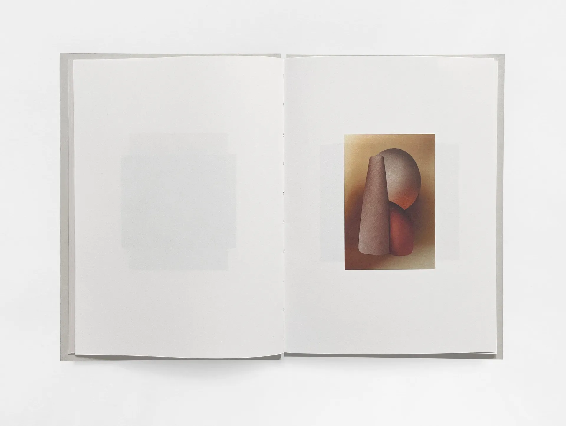 Mirror Image image 6