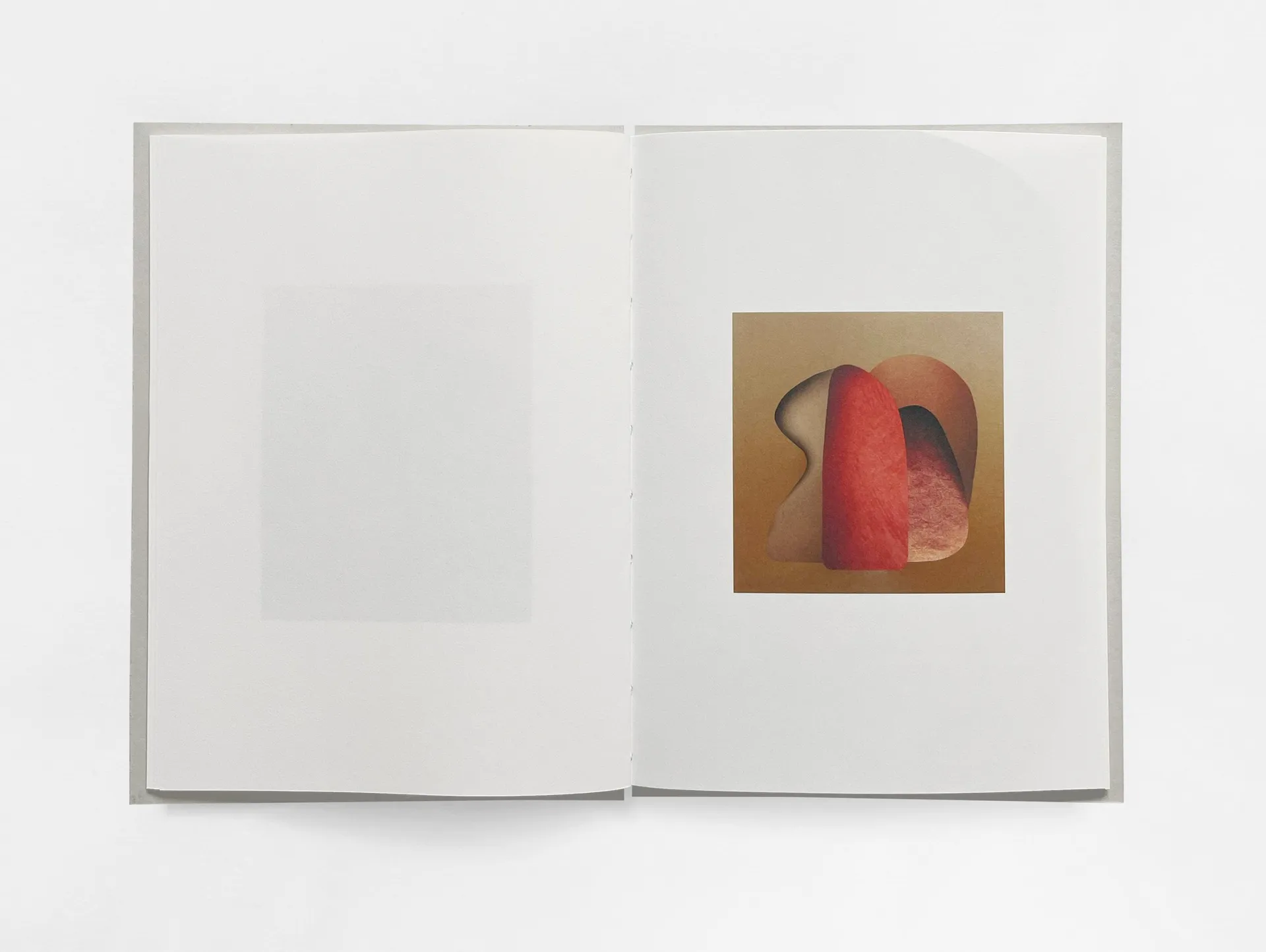 Mirror Image image 9