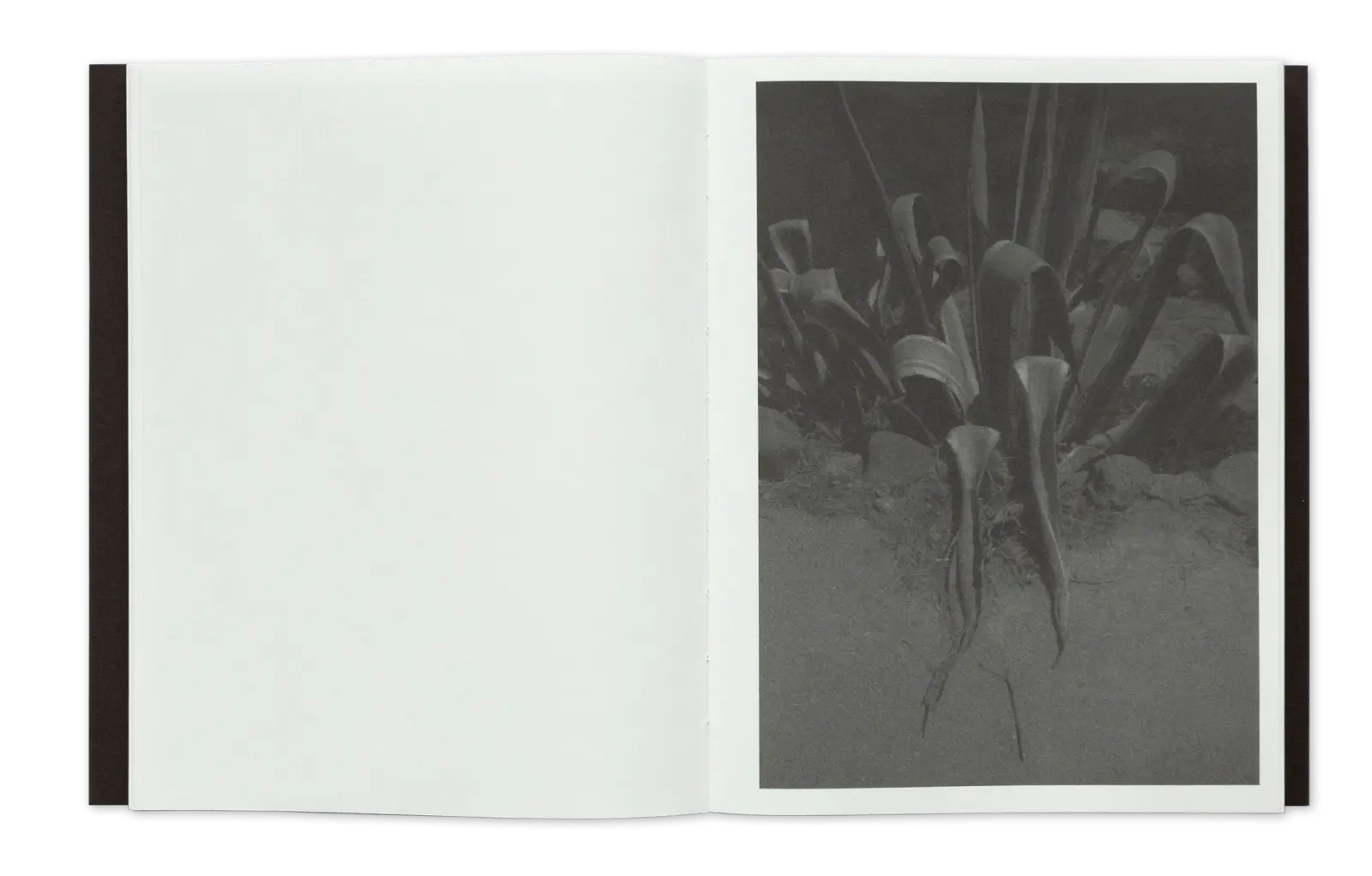 Les yeux fermés image 7