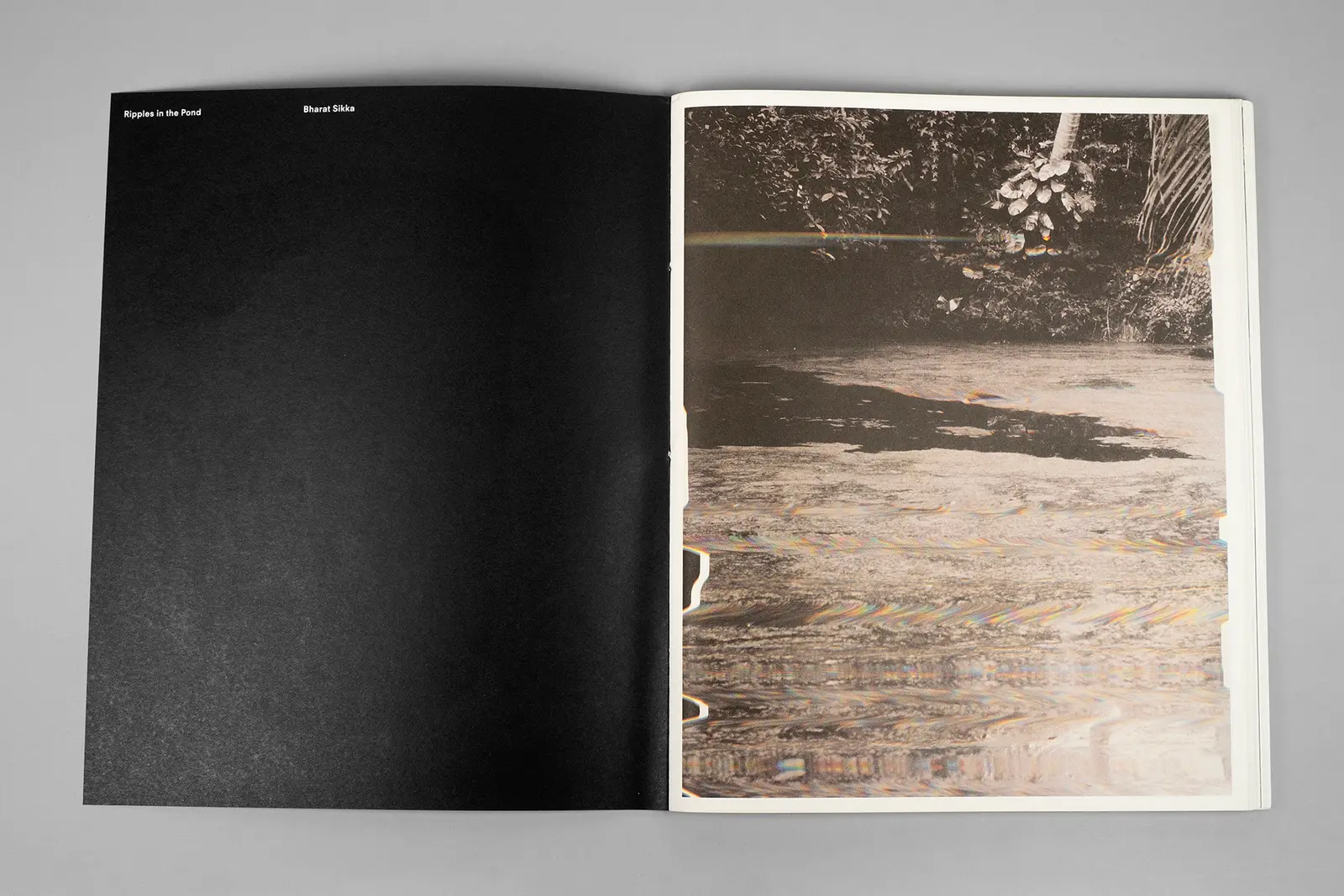 Ripples in the Pond image 2