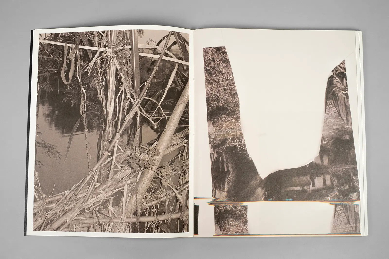 Ripples in the Pond image 3