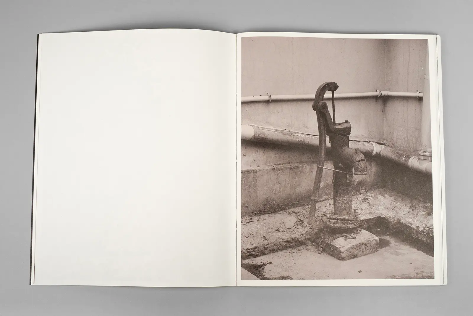 Ripples in the Pond image 5