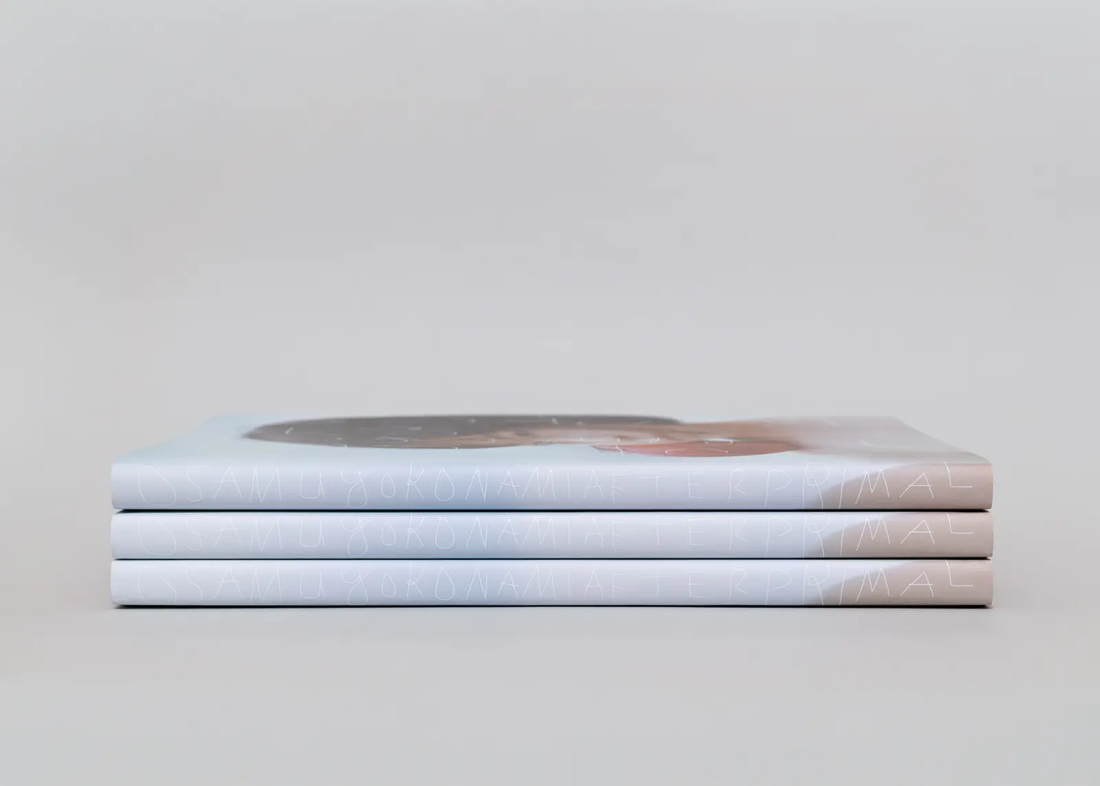 After Primal image 7