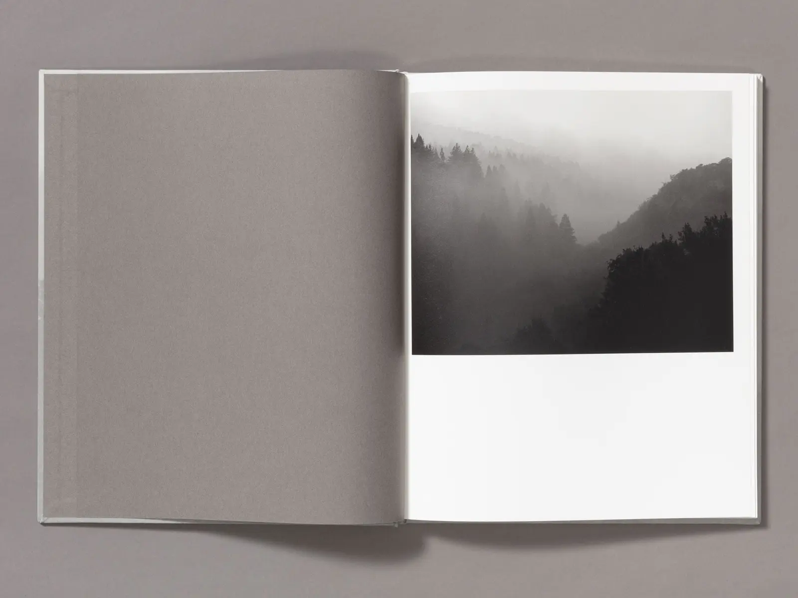 The Weight Of Ash image 2