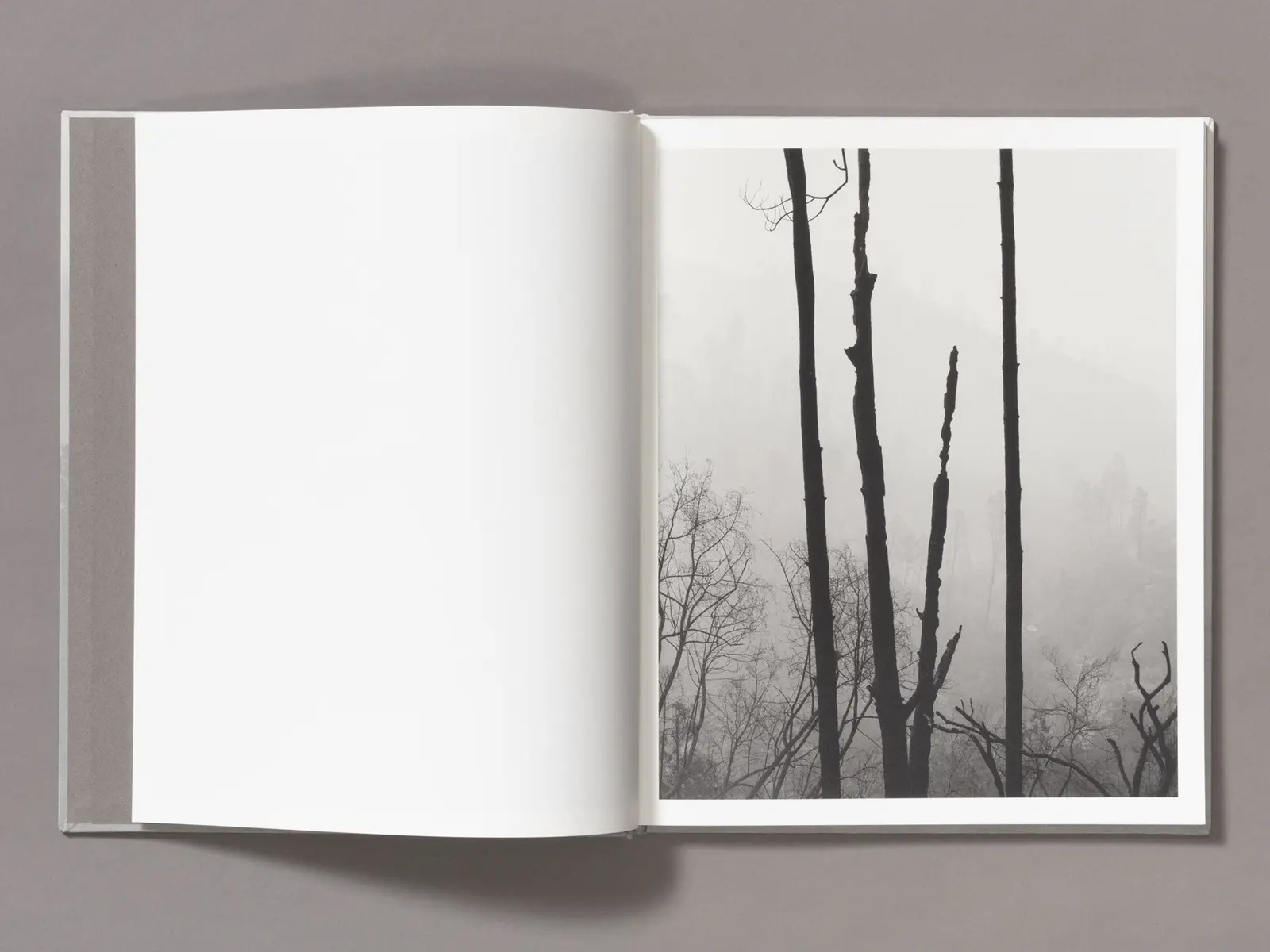 The Weight Of Ash image 3