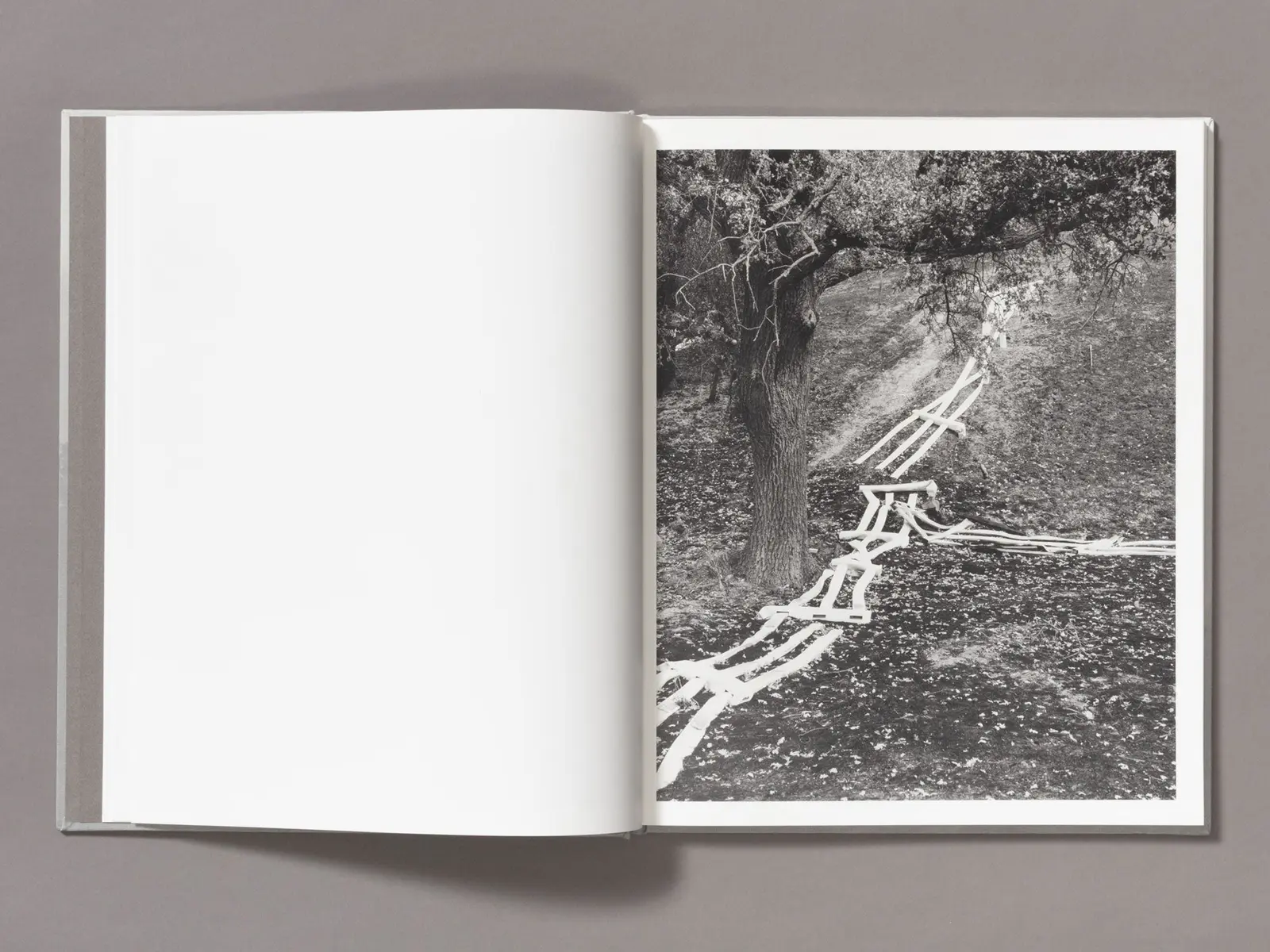 The Weight Of Ash image 5