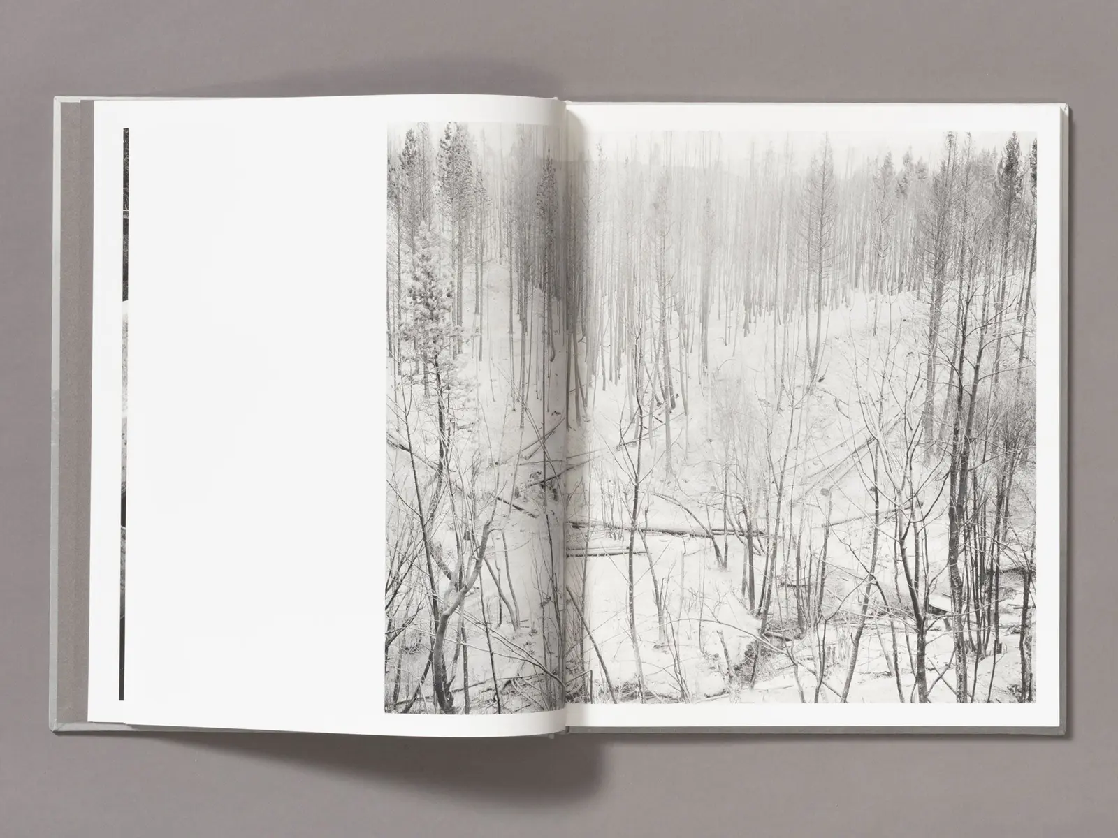 The Weight Of Ash image 7