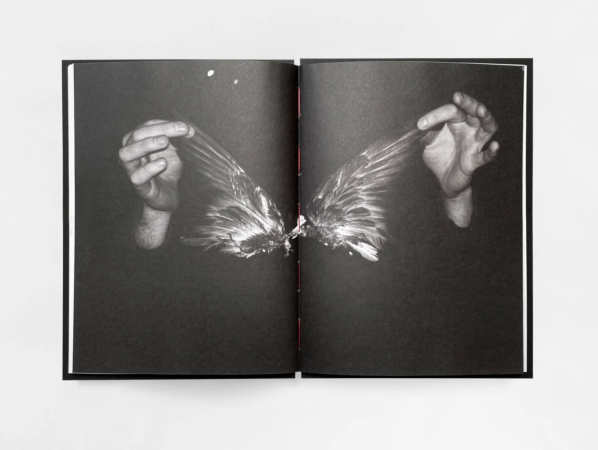 Even a maniac can learn to drive image 7