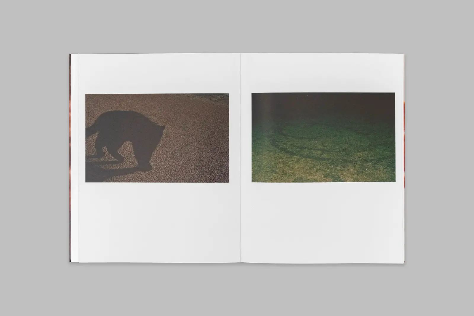 A Tear for Someone Undeserving image 6